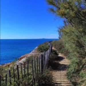 Sète 🌊 (2/3), toujours des paysages sympas, ça valait le coup de faire une formation au bord de la mer 😎